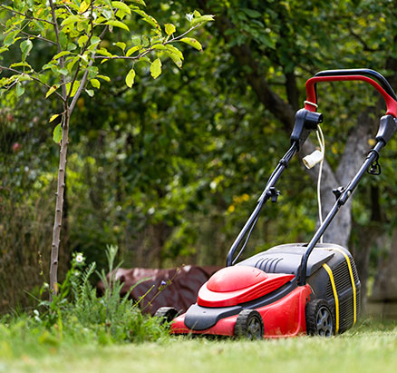 Lawn Mowing